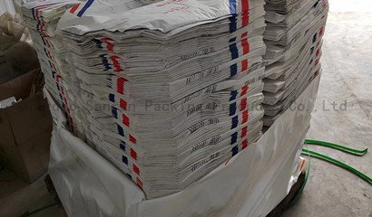 paper bag